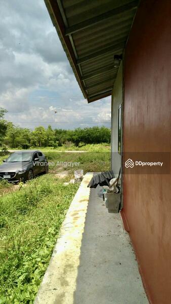 For Rent - เช่าบ้านเดี่ยวชั้นเดียว โชคชัย, Nakhon Ratchasima