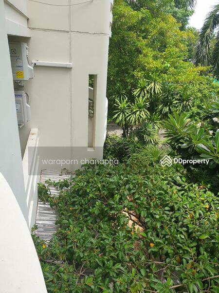 Baan Suanthon Ratchada, Bangkok, 60 Chuea Phloeng 2 Alley, Jom Phon, Chatuchak, Bangkok, 2 Bedrooms, 60 sqm, Condo For Rent, by waraporn chanapha, 7522174 - DDproperty.com