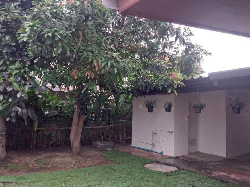 Jinda Villa, Chiang Mai, Nong Phung, Saraphi, Chiang Mai, 5 Bedrooms, 200 sqm, Single Detached House For Rent, by คุณ ธีรชาติ, 7524651 - DDproperty.com