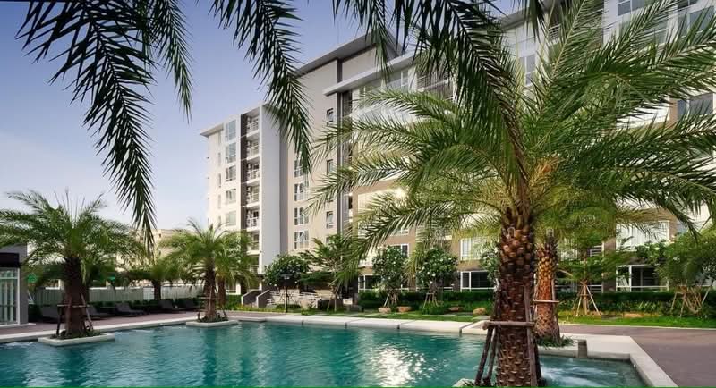 Elements Srinakarin : อิลีเม้นท์ ศรีนครินทร์, กรุงเทพ, 43-1 ซอยสุภาพงษ์ 3 แยก 4 ถนนศรีนครินทร์, หนองบอน, ประเวศ, กรุงเทพ, 44 ตร.ม., คอนโด ให้เช่า, โดย ชวิศ เจียมสากล, 7536620 - DDproperty.com