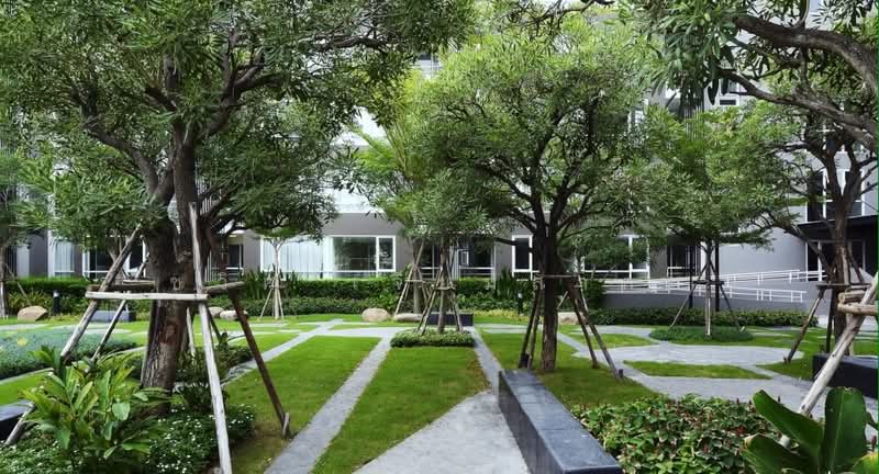 Elements Srinakarin, Bangkok, 43-1 Soi Supaphong 3, Intersection 4, Srinakarin Road, Nong Bon, Prawet, Bangkok, 2 Bedrooms, 44 sqm, Condo For Rent, by Chawich Jeamsakon, 7536620 - DDproperty.com