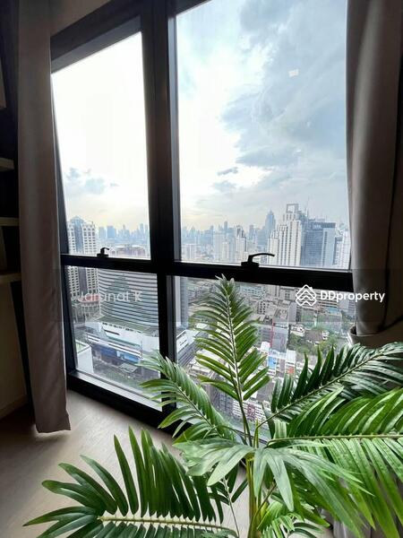 ASHTON Asoke, Bangkok, 131 Asoke Montri Road, Khlongtoei Nua, Watthana, Bangkok, 1 Bedroom, 32 sqm, Condo For Rent, by Jarunat K, 7552266 - DDproperty.com