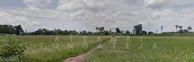 ขาย - ขายที่ดิน 5 ไร่ อ.เก้าเลี้ยว จ.นครสวรรค์, นครสวรรค์