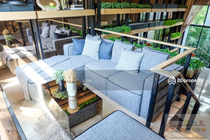 Arden Ladprao 71, Bangkok, ลาดพร้าว 71, Lat Phrao, Lat Phrao, Bangkok, 3 Bedrooms, 185 sqm, Townhouse For Rent, by Line : @katagent, 7585011 - DDproperty.com