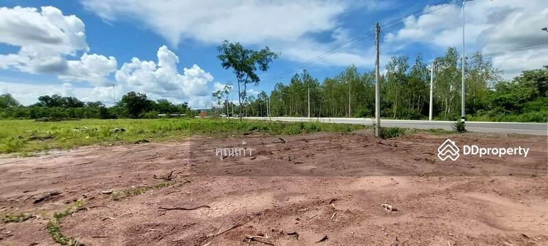 ขาย - ที่ิดิน, หนองบัวลำภู