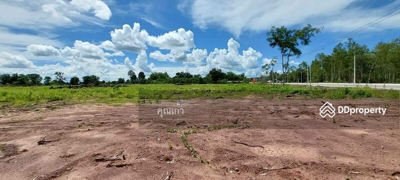 ขาย - ที่ิดิน, หนองบัวลำภู