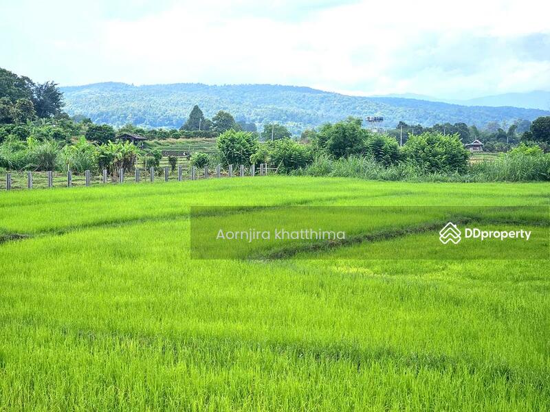 วิวภูเขา