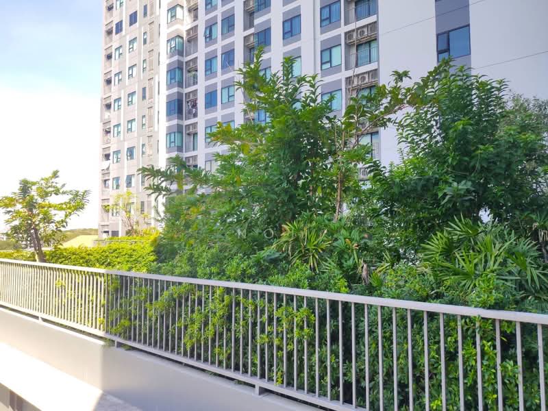 Escent Condo : เอสเซ็นท์ เชียงใหม่, เชียงใหม่, 98 เอสเซ็นท์ คอนโดมิเนียม, ฟ้าฮ่าม, เมืองเชียงใหม่, เชียงใหม่, 32 ตร.ม., คอนโด ให้เช่า, โดย Noi, 7623616 - DDproperty.com
