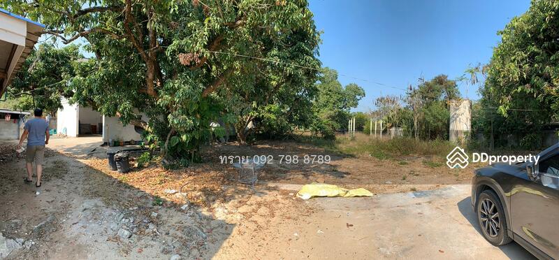 sss203 ขาย ที่ดินดอยหล่อ จอมทอง เชียงใหม่, Chiang Mai, Doi Lo, Chiang Mai, , 6,428 sqm, Land For Sale, by คุณ ทราย, 7639793 - DDproperty.com