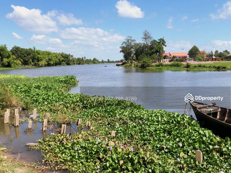 sss204 ขายที่ดิน ติดแม่น้ำบางปะกง ปราจีนบุรี, ปราจีนบุรี, บางยาง, บ้านสร้าง, ปราจีนบุรี, 5,212 ตร.ม., ที่ดิน ขาย, โดย คุณ ทราย, 7653357 - DDproperty.com