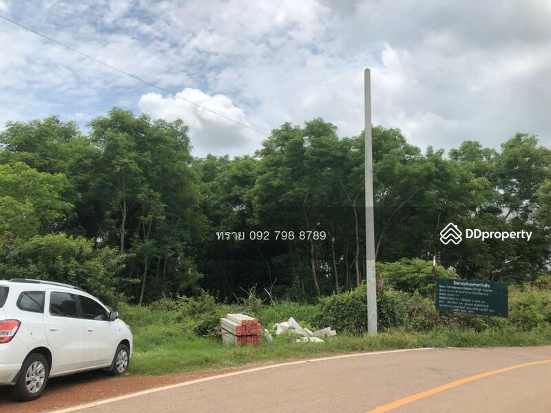 sss204 ขายที่ดิน ติดแม่น้ำบางปะกง ปราจีนบุรี, ปราจีนบุรี, บางยาง, บ้านสร้าง, ปราจีนบุรี, 5,212 ตร.ม., ที่ดิน ขาย, โดย คุณ ทราย, 7653357 - DDproperty.com