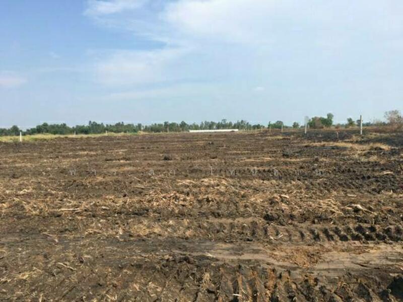 ขายโรงงานฉะเชิงเทรา อำเภอเมือง ตำบลคลองอุดม ถนนสุวินทวงศ์, ฉะเชิงเทรา, สุวินทวงศ์, คลองอุดมชลจร, เมืองฉะเชิงเทรา, ฉะเชิงเทรา, 36,512 ตร.ม., โกดัง-โรงงาน ขาย, โดย ฟารีดา ไทปทาน, 7656765 - DDproperty.com