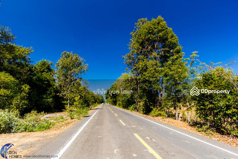 For Sale - 36 rai highland Tambon Phon Phaeng Ubon Ratchathani Thailand, Ubon Ratchathani