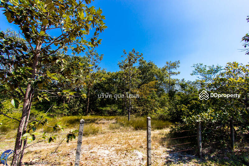 For Sale - 36 rai highland Tambon Phon Phaeng Ubon Ratchathani Thailand, Ubon Ratchathani