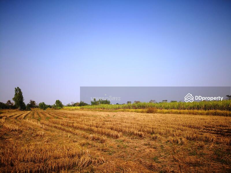 ให้เช่า - LSR-009 ที่ดินเปล่า ต.โนนสูง อ.เมือง จ.อุดรธานี : NonSoong Subdistrict, Mueang District, Udonthani, อุดรธานี