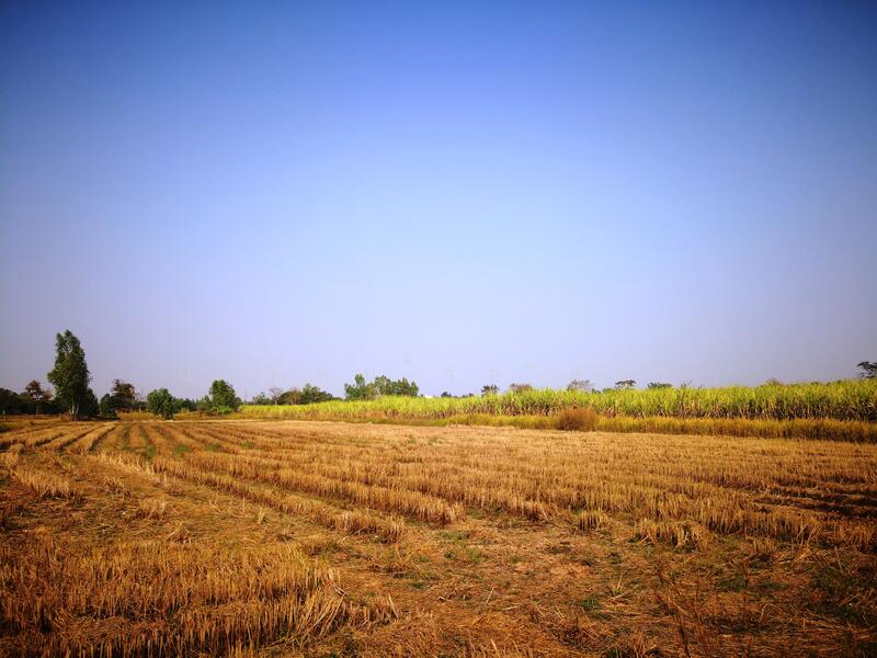Large Land for Rent 11-3-67 Rai, Non Soong, Mueang Udon Thani, near Mittraphap Road, Udon Thani, ถ.มิตรภาพอุดรธานี-ขอนแก่น, Non Sung, Muang Udon Thani, Udon Thani, , 19,068 sqm, Land For Rent, by Kulaya Thanapura, 7662163 - DDproperty.com