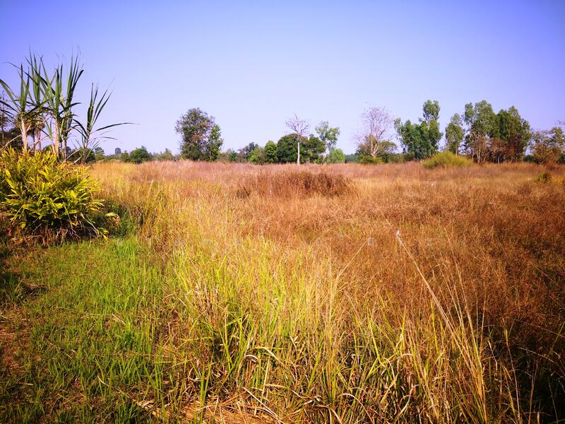 Large Land for Rent 11-3-67 Rai, Non Soong, Mueang Udon Thani, near Mittraphap Road, Udon Thani, ถ.มิตรภาพอุดรธานี-ขอนแก่น, Non Sung, Muang Udon Thani, Udon Thani, , 19,068 sqm, Land For Rent, by Kulaya Thanapura, 7662163 - DDproperty.com