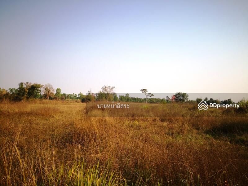 ให้เช่า - LSR-009 ที่ดินเปล่า ต.โนนสูง อ.เมือง จ.อุดรธานี : NonSoong Subdistrict, Mueang District, Udonthani, อุดรธานี