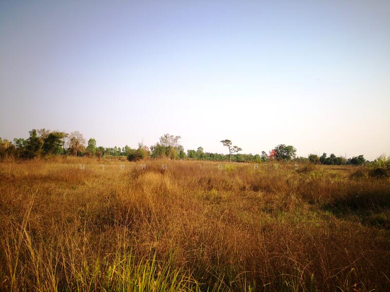 Large Land for Rent 11-3-67 Rai, Non Soong, Mueang Udon Thani, near Mittraphap Road, Udon Thani, ถ.มิตรภาพอุดรธานี-ขอนแก่น, Non Sung, Muang Udon Thani, Udon Thani, , 19,068 sqm, Land For Rent, by Kulaya Thanapura, 7662163 - DDproperty.com
