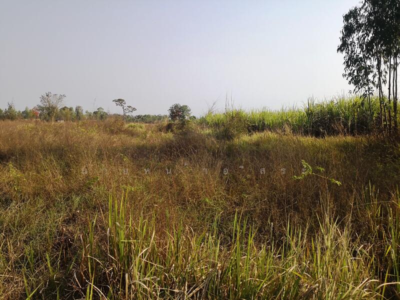 Large Land for Rent 11-3-67 Rai, Non Soong, Mueang Udon Thani, near Mittraphap Road, Udon Thani, ถ.มิตรภาพอุดรธานี-ขอนแก่น, Non Sung, Muang Udon Thani, Udon Thani, , 19,068 sqm, Land For Rent, by Kulaya Thanapura, 7662163 - DDproperty.com