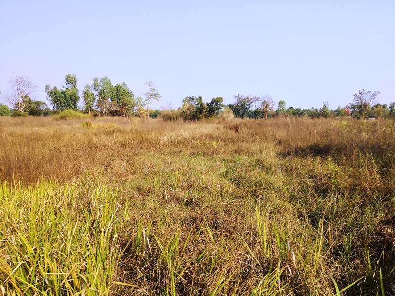 Large Land for Rent 11-3-67 Rai, Non Soong, Mueang Udon Thani, near Mittraphap Road, Udon Thani, ถ.มิตรภาพอุดรธานี-ขอนแก่น, Non Sung, Muang Udon Thani, Udon Thani, , 19,068 sqm, Land For Rent, by Kulaya Thanapura, 7662163 - DDproperty.com