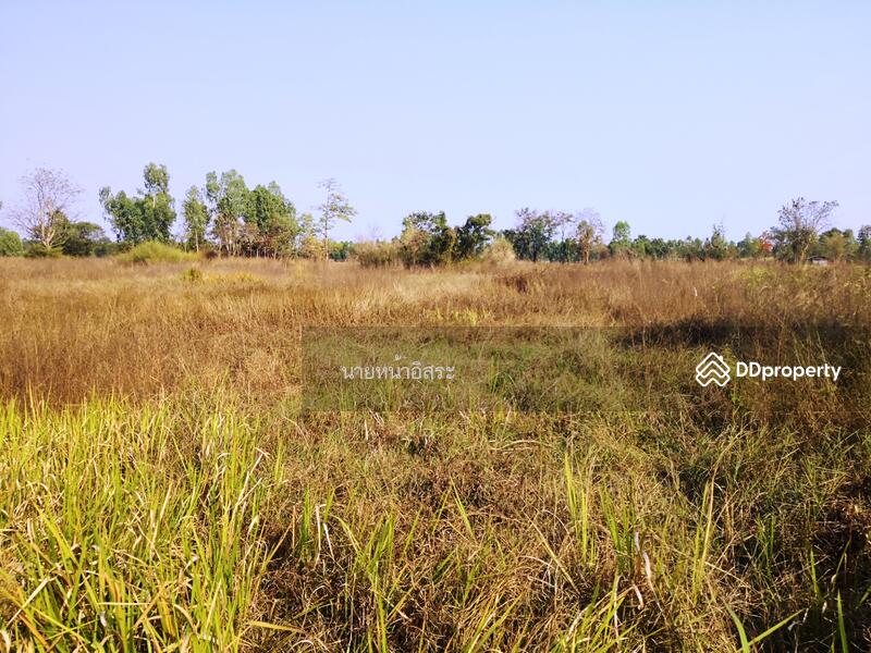 ให้เช่า - LSR-009 ที่ดินเปล่า ต.โนนสูง อ.เมือง จ.อุดรธานี : NonSoong Subdistrict, Mueang District, Udonthani, อุดรธานี