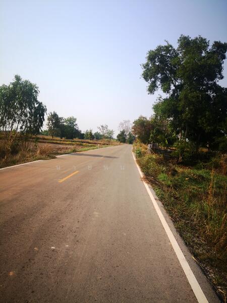 Large Land for Rent 11-3-67 Rai, Non Soong, Mueang Udon Thani, near Mittraphap Road, Udon Thani, ถ.มิตรภาพอุดรธานี-ขอนแก่น, Non Sung, Muang Udon Thani, Udon Thani, , 19,068 sqm, Land For Rent, by Kulaya Thanapura, 7662163 - DDproperty.com