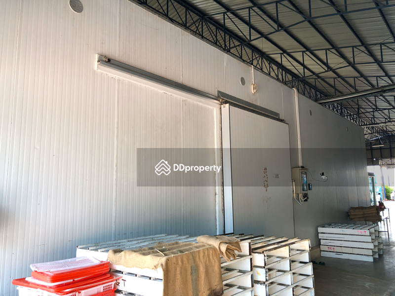 ขาย - ขายโรงงาน 2 ชั้น ห้องเย็น (freeze) ต.คลองตาสังข์ อ.ท่าใหม่ จันทบุรี พร้อมที่ดิน, จันทบุรี