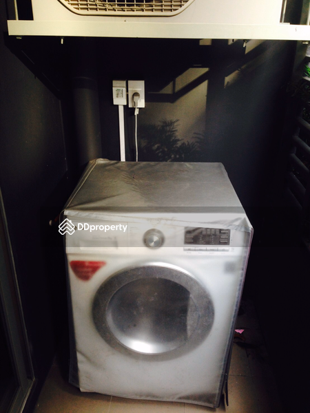 Elio Sukhumvit 64, Bangkok, 99 Soi Sukhumvit 64, Bang Chak, Phra Khanong, Bangkok, 1 Bedroom, 31 sqm, Condo For Rent, by chanwit chokbundit, 7667509 - DDproperty.com