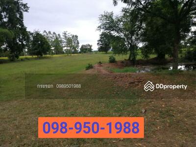 ขาย - ขาย ที่ดิน (โฉนด) สวย 10 ไร่ อ. วิเชียรบุรี จ. เพชรบูรณ์., เพชรบูรณ์