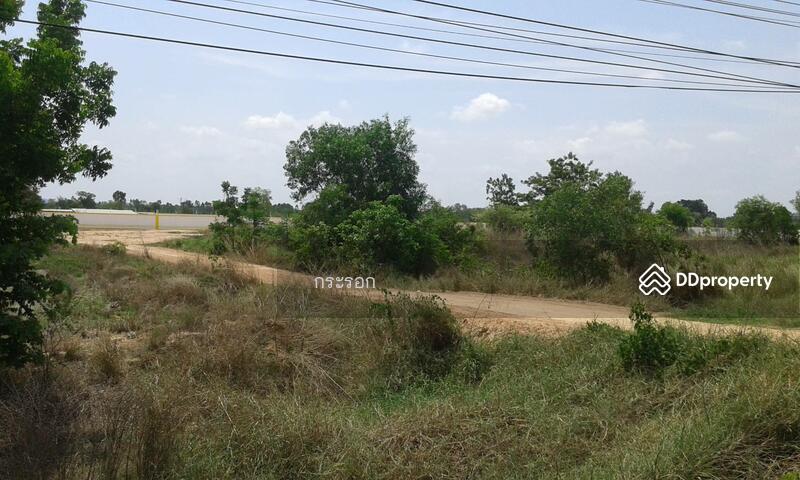 For Sale - ที่ดิน 18 ไร่ ถนน 304 กบินทร์บุรี ปราจีนบุรี, Prachin Buri