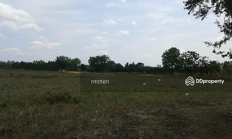 For Sale - ที่ดิน 18 ไร่ ถนน 304 กบินทร์บุรี ปราจีนบุรี, Prachin Buri