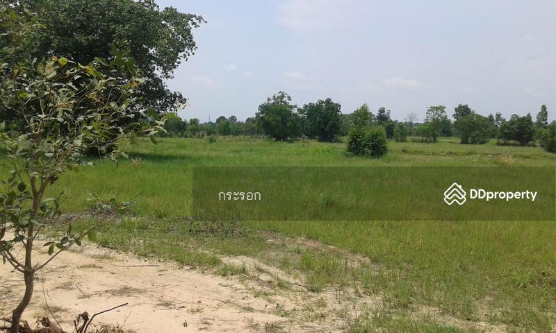 ขาย - ที่ดิน 18 ไร่ ถนน 304 กบินทร์บุรี ปราจีนบุรี, ปราจีนบุรี