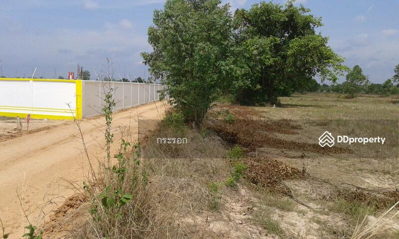 ขาย - ที่ดิน 18 ไร่ ถนน 304 กบินทร์บุรี ปราจีนบุรี, ปราจีนบุรี