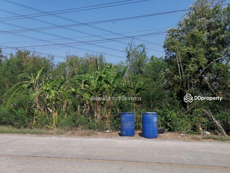 ขาย - ที่ดินเปล่า, นนทบุรี