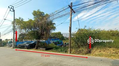 ขาย - ที่ดิน ถ.เทพรักษ์ 44 บางเขน, กรุงเทพ