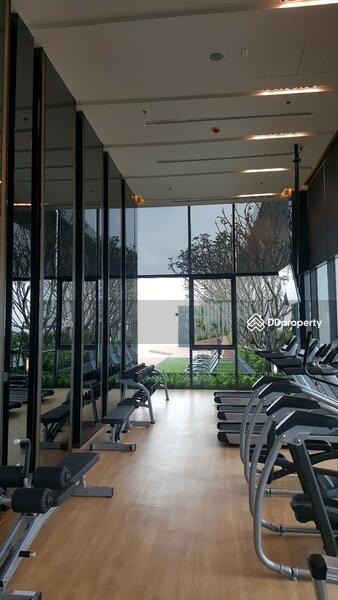 Life Sukhumvit 48, Bangkok, Soi Sukhumvit 48, Phra Kanong, Khlong Toei, Bangkok, 2 Bedrooms, 40 sqm, Condo For Rent, by ภารวี สุมังคะละ, 7767695 - DDproperty.com