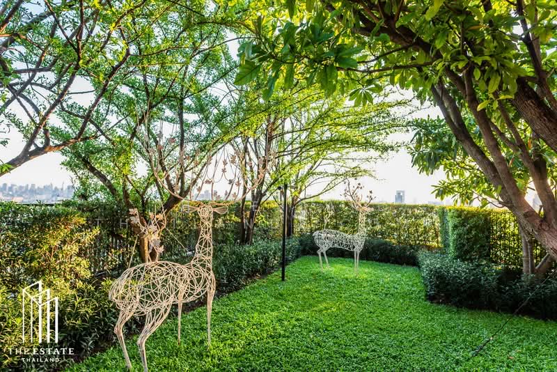 Whizdom Avenue Ratchada-Ladprao, Bangkok, Ladprao Road, Jom Phon, Chatuchak, Bangkok, 1 Bedroom, 31 sqm, Condo For Rent, by The Estate(Thailand)  Limited, 7768280 - DDproperty.com