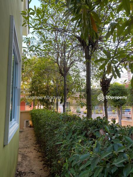 เช่าทาวน์เฮ้า, Nakhon Ratchasima, Suranari, Muang Nakhon Ratchasima, Nakhon Ratchasima, 3 Bedrooms, 170 sqm, Townhouse For Rent, by วิรณี, 7827919 - DDproperty.com