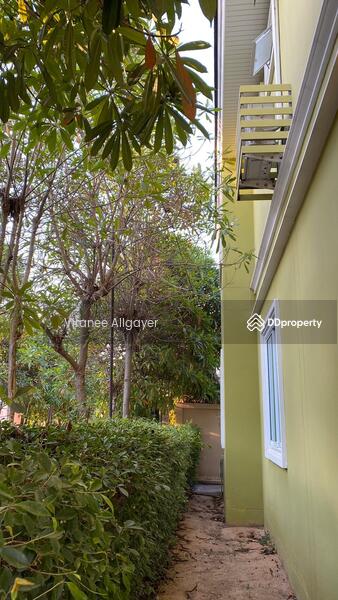 เช่าทาวน์เฮ้า, นครราชสีมา, สุรนารี, เมืองนครราชสีมา, นครราชสีมา, 170 ตร.ม., ทาวน์เฮ้าส์ ให้เช่า, โดย วิรณี, 7827919 - DDproperty.com