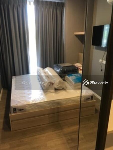 The Nest Sukhumvit 64 : เดอะ เนสท์ สุขุมวิท 64, กรุงเทพ, 408 ซอยสุขุมวิท 64, บางจาก, พระโขนง, กรุงเทพ, 30 ตร.ม., คอนโด ให้เช่า, โดย ชวิศ เจียมสากล, 7842714 - DDproperty.com