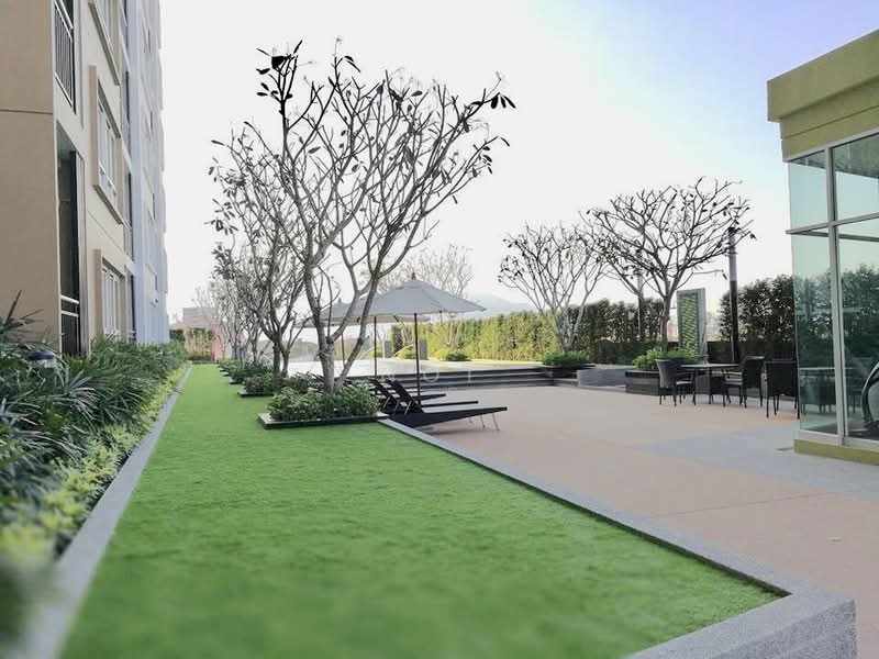 Supalai Monte at Viang, Chiang Mai, Super Highway, Wat Khet, Muang Chiang Mai, Chiang Mai, Studio, 33 sqm, Condo For Rent, by Noi, 7843786 - DDproperty.com