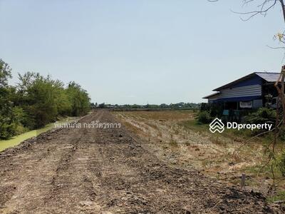 ขาย - ที่ดินเปล่า, นนทบุรี
