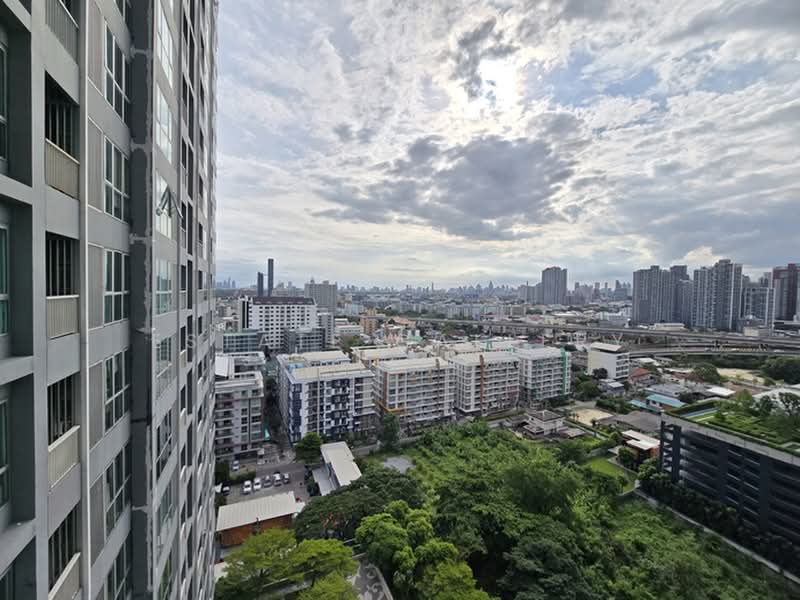 Rhythm Sukhumvit 50, Bangkok, 8 Sukhumvit 50, Sukhumvit Road, Phra Kanong, Khlong Toei, Bangkok, 1 Bedroom, 35 sqm, Condo For Rent, by Estate Gallery, 7919962 - DDproperty.com