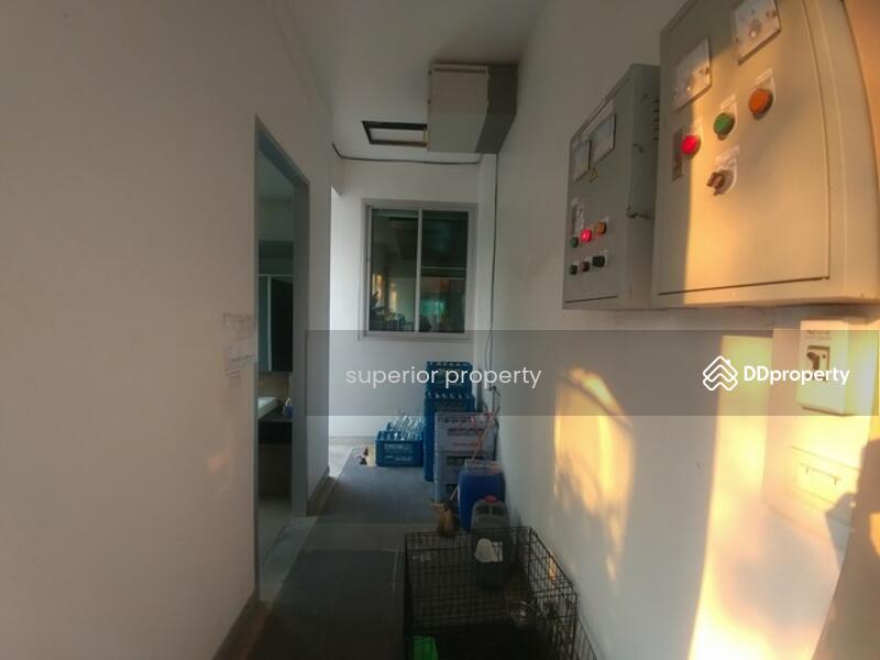 ด้านหลัง อาคาร