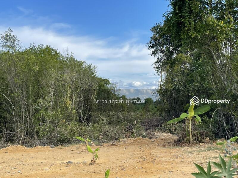 ขายที่ดินเกาะยอติดทะเลวิวสวย, สงขลา, เกาะยอ, เมืองสงขลา, สงขลา, 24,000 ตร.ม., ที่ดิน ขาย, โดย ณปวร ประทีปอุษานนท์, 7925203 - DDproperty.com