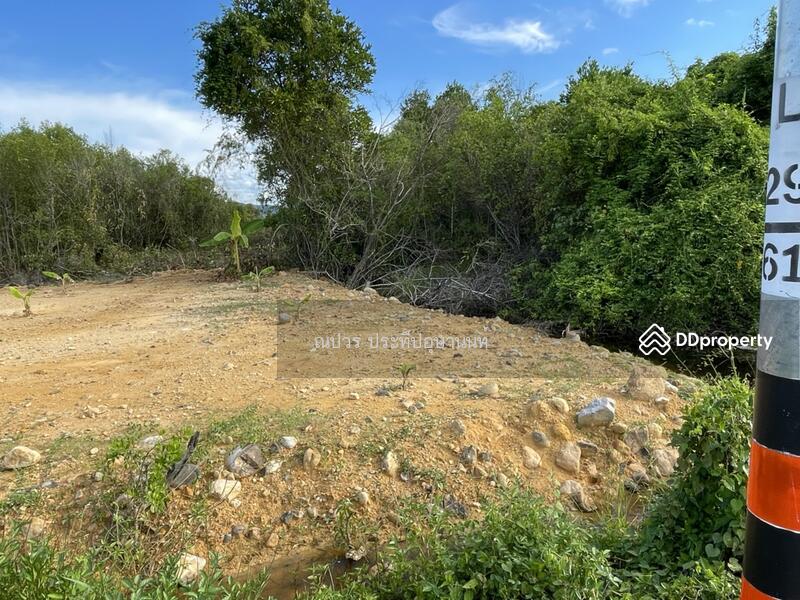 ขายที่ดินเกาะยอติดทะเลวิวสวย, Songkhla, Ko Yo, Muang Songkhla, Songkhla, , 24,000 sqm, Land For Sale, by Napaworn Prateepusanond, 7925203 - DDproperty.com