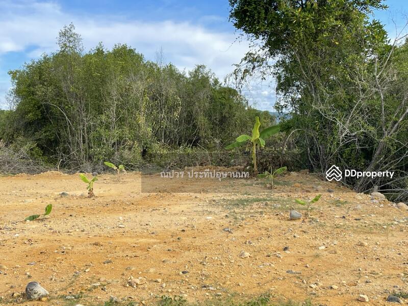 ขายที่ดินเกาะยอติดทะเลวิวสวย, Songkhla, Ko Yo, Muang Songkhla, Songkhla, , 24,000 sqm, Land For Sale, by Napaworn Prateepusanond, 7925203 - DDproperty.com