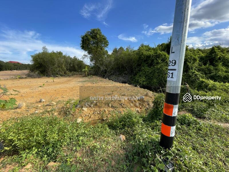 ขายที่ดินเกาะยอติดทะเลวิวสวย, Songkhla, Ko Yo, Muang Songkhla, Songkhla, , 24,000 sqm, Land For Sale, by Napaworn Prateepusanond, 7925203 - DDproperty.com