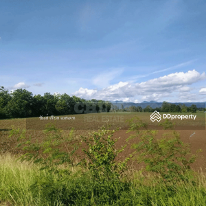 ขาย - ที่ดิน เมืองเพชรบูรณ์, เพชรบูรณ์